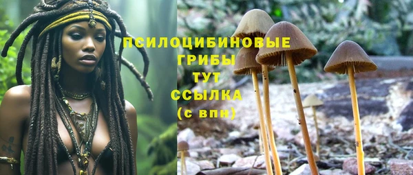 а пвп мука Пестово