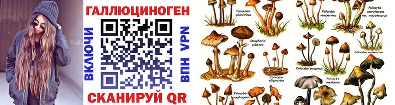блэк спрут ссылка  Кувшиново  Псилоцибиновые грибы Psilocybine cubensis  наркошоп 